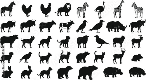 Wild and domestic animal silhouettes, vector wildlife illustration, farm and safari creatures artwork, educational animal design, black silhouette animal drawing