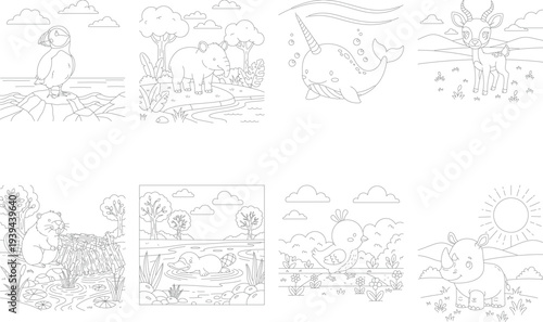 Outline puffin, elephant, narwhal, deer for coloring book, arctic and forest scenes