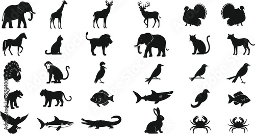 Wild animal silhouette collection, domestic pet vector artwork, marine and land creatures illustration, educational animal design, black silhouette animal drawing