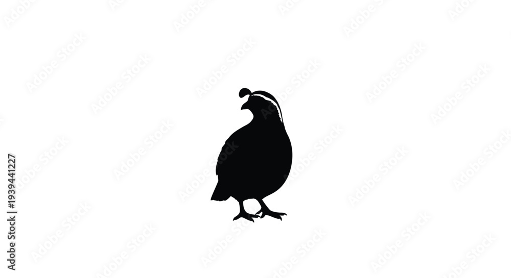 Fototapeta premium A striking black silhouette of a quail in a simple pose silhouette