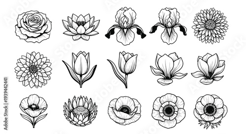 Elegant Hand Drawn Floral and Flower Blossom Collection