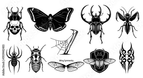 Artistic Insect and Beetle Illustration Vector Collection