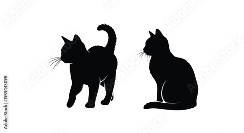 Two black cats in different poses create a striking silhouette