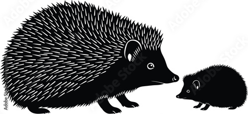 Hedgehog silhouette pair illustration, wildlife animal artwork, nature design concept, taxonomy study, decorative artwork pattern, parent and baby connection
