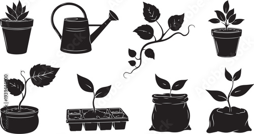 Black and white illustration of plants and gardening tools