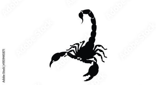 A striking black scorpion depiction against a white background silhouette