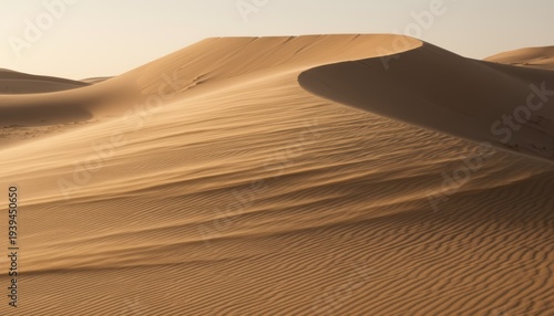 Wavy Sand Dunes With Wind Blowing Across Desert Landscape Showing Intricate Ripples And Texture Under Golden Light