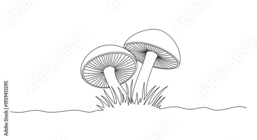 Minimalist Line Art Illustration Two Mushrooms Growing in Grass. Organic Nature Design for Web and Print.