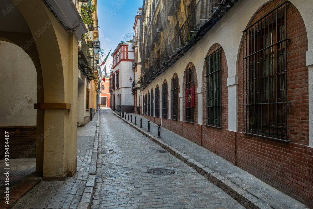 Fototapeta premium Empty Cobblestone Alley