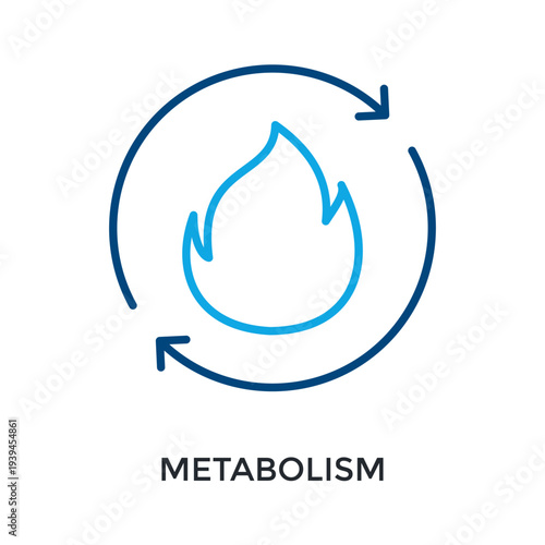 Metabolism Icon Outline Color Style. Vector Illustration For Graphic Design