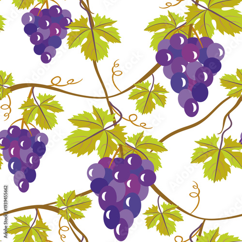 Vector - grape berries with leaves seamless pattern.