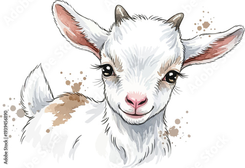 A cute baby goat with a white and brown coat looks directly at the camera with big eyes.