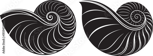Elegant black‑and‑white nautilus spiral shells—perfect for coastal logos, tattoos, decals, crafts, and beach prints. 