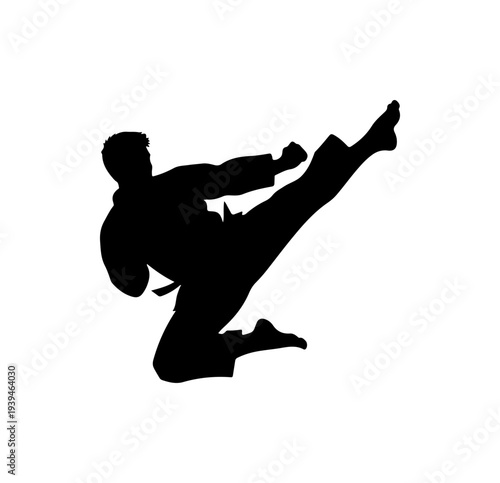 Black silhouette of a man kicking in karate vector