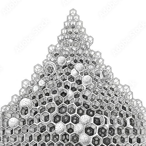 Geometric Hexagonal Structure with Detailed Cell Composition