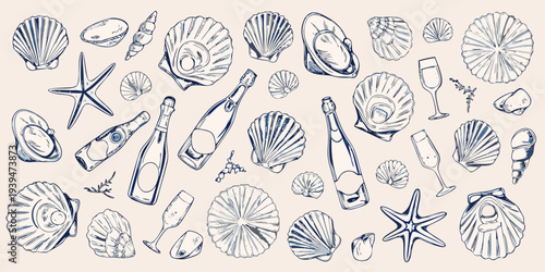 Vintage sketch of seashells champagne and marine life elements