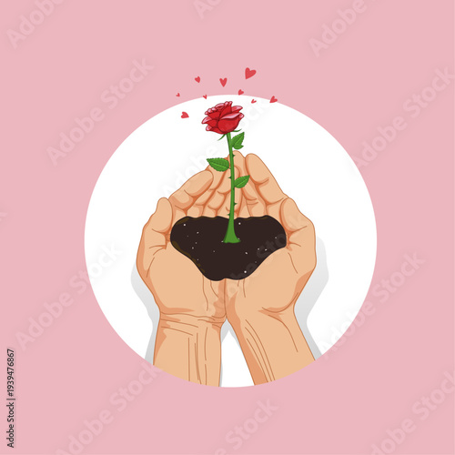 Holding red rose in cupped hands. Valentine's Day background.