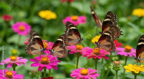 Colorful butterflies flit among vibrant flowers