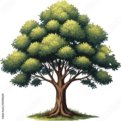 Football field tree landscape