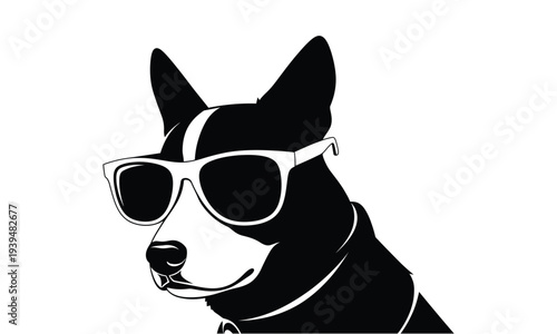 Dog wearing sunglasses isolated on white background looking cool and trendy
