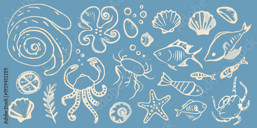 Whimsical illustration of various marine life and seashells on blue