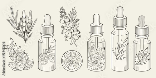 Botanical illustration featuring dropper bottles and various plant elements