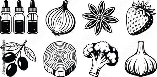 Vintage engraved botanical and food elements vector set with fruits vegetables spices herbs and dropper bottles detailed line art illustration