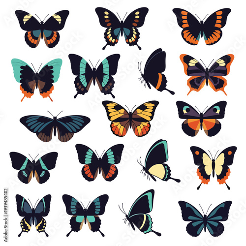 Collection of Colorful Butterfly Species.