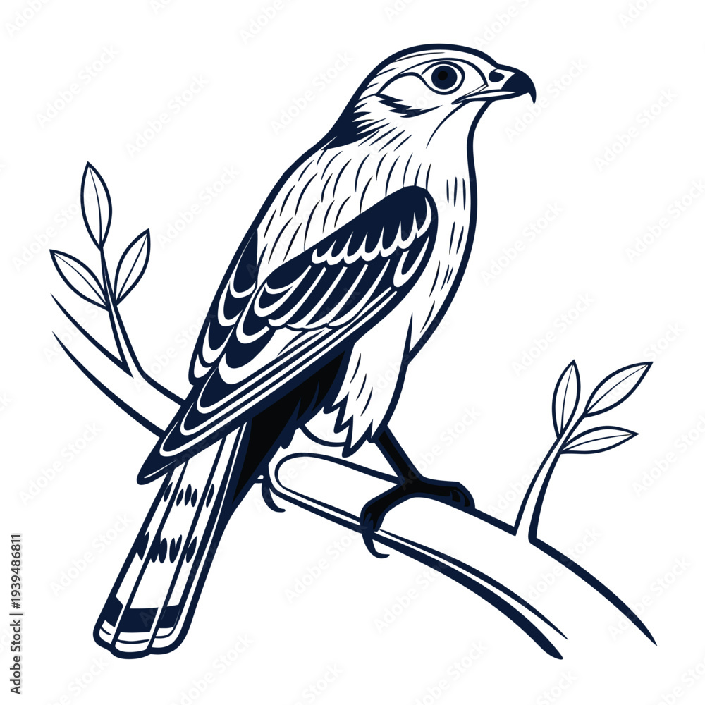 Obraz premium bird on a branch