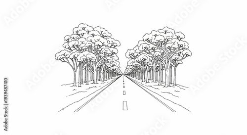 Straight road through a dense forest of trees, receding into the distance