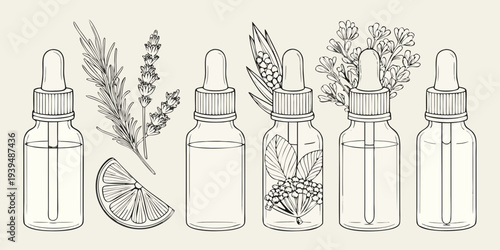 Line art illustration of essential oil bottles and botanical elements