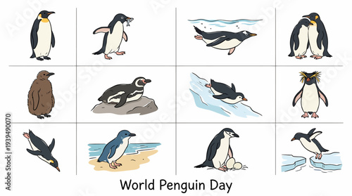 Collection of Penguin Illustrations - Different Poses and Activities