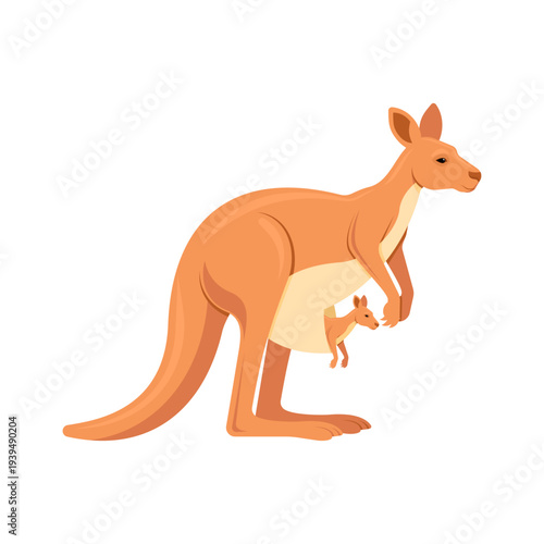 Detailed  kangaroo with a cute joey in its pouch. National symbol of Australian wildlife and motherhood. Isolated on white.