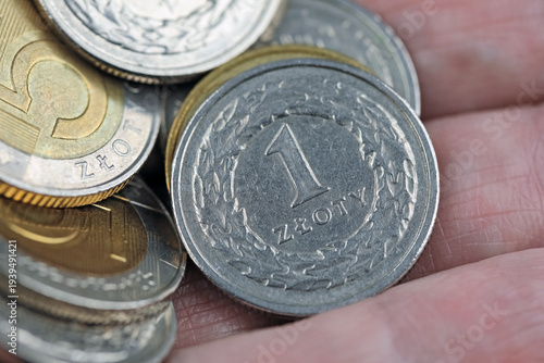 Someone has Polish Zloty coins on their hand