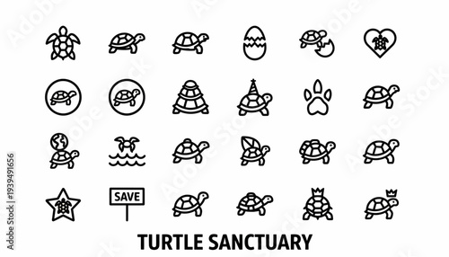 Turtle Icons Set | Cute Animal Vector Graphics
