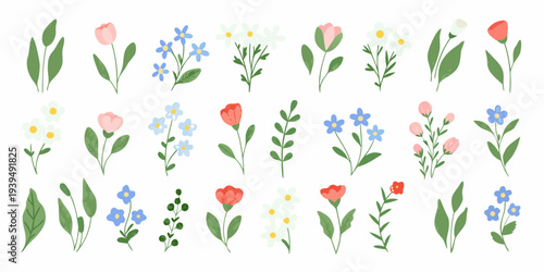 Collection of colorful hand drawn style floral illustrations on a white background