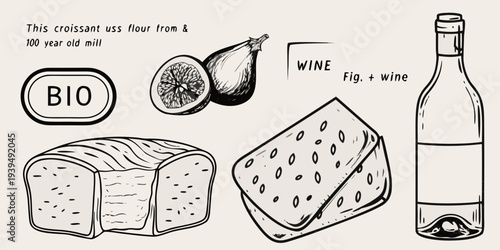 Hand drawn illustration of organic food items including bread figs cheese and wine