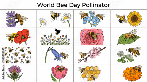 World Bee Day Pollinator Collage: Bees and Flowers Illustration