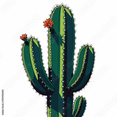 Green Cactus Plant with Red Flowers.