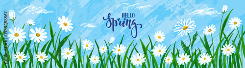 Hello Spring text on beautiful hand drawn daisy flower meadow in green grass field with blue sky for nature seasonal background banner vector illustration