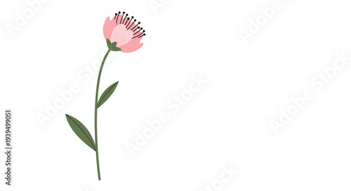 Minimalist illustration of a single pink flower on a long green stem with small leaves isolated on a plain white background for art decor.
