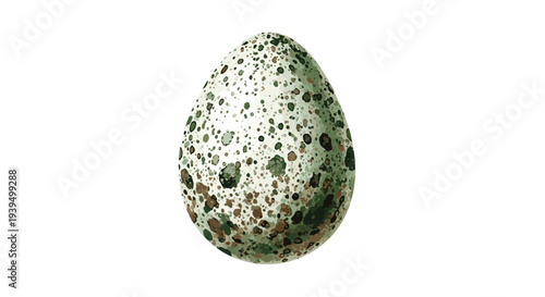 Speckled bird egg with dark green and brown spots isolated on a white background, perfect for nature or easter themed projects.