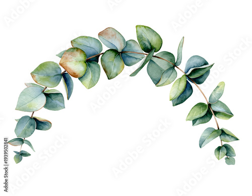 Elegant Watercolor Eucalyptus Greenery Wreath Half Circle Frame with Hand Painted Silver Dollar Leaves and Botanical Foliage Branches Isolated for Wedding Invitations and Minimalist Floral Branding