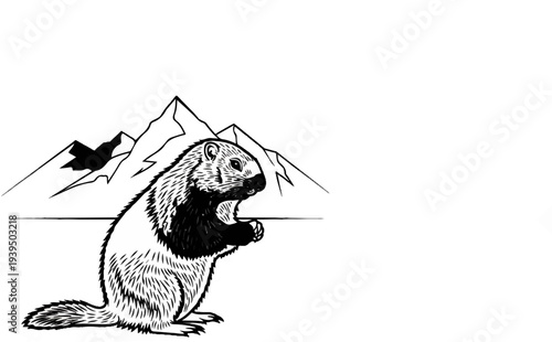 A black and white illustration of a wolverine standing on hind legs