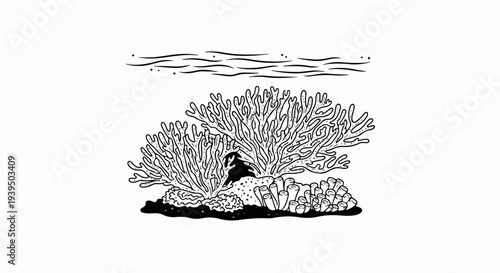 Undersea coral reef scene with varied textures and forms
