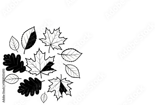 A monochrome composition of various deciduous leaves in a circular arrangement