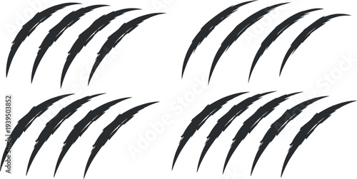 A set of black claw marks on a white background