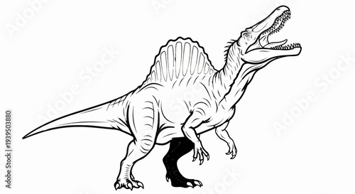 A black and white outline drawing of a Spinosaurus dinosaur with its mouth open
