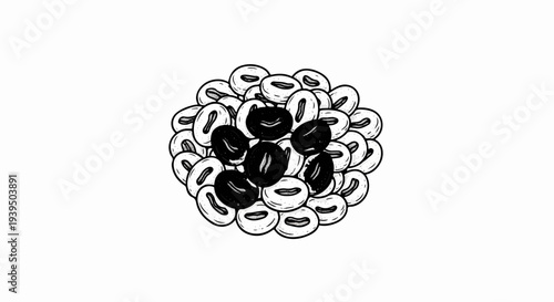 A pile of hand-drawn beans, some black and some white, on a white background