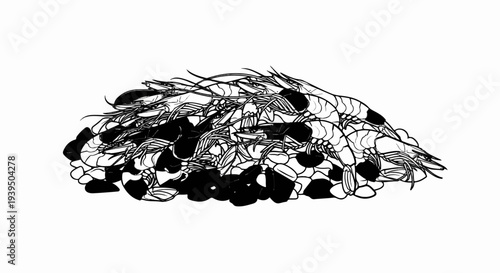 A pile of uncooked shrimp on a bed of pebbles in a black and white illustration